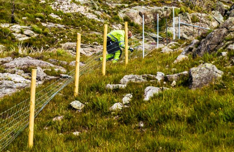 Montering av gjerde flattened